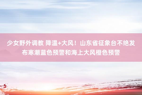 少女野外调教 降温+大风！山东省征象台不绝发布寒潮蓝色预警和海上大风橙色预警
