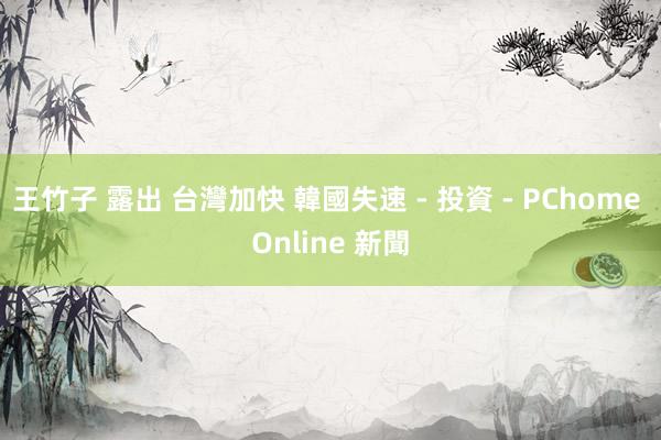 王竹子 露出 台灣加快 韓國失速 - 投資 - PChome Online 新聞
