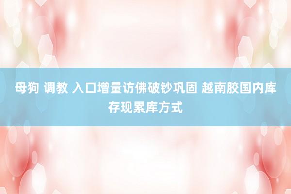 母狗 调教 入口增量访佛破钞巩固 越南胶国内库存现累库方式